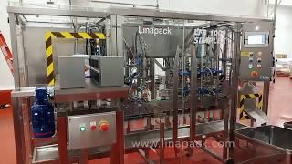 Linapack linear stand up pouch fill and seal machine