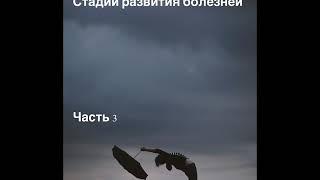 Вата доша: стадии развития болезней. Часть 3. Аюрведа для начинающих.