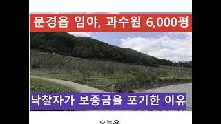 문경읍 임야, 과수원 6,000평 (낙찰자가 보증금을 포기한 이유)