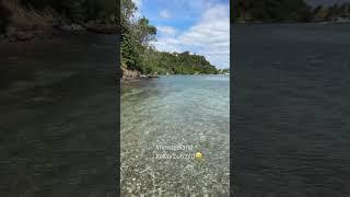 #beach #beachvibes #newzealand #youtubeshorts #subscribe #music