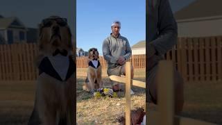 My dog mourns his favorite toy…