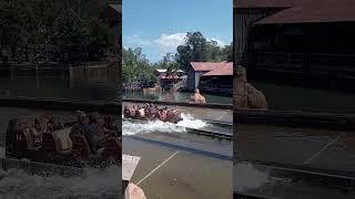 Water Log Ride   Movie World Gold Coast