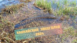 Ханкайский Змееголов 2024.Первый выезд.