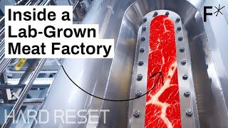 Large-scale, lab-grown meat: Step inside a cultivated meat factory | Hard Reset