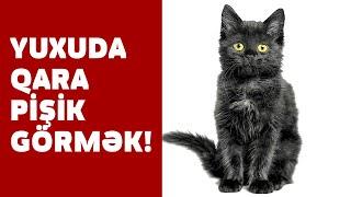 Yuxuda QARA PİŞİK Görmək - SƏSLİ YUXU YOZMALARI