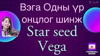 Оддын үрс цуврал5. Вега одны үрсийн онцлог шинж .Vega Star seed .