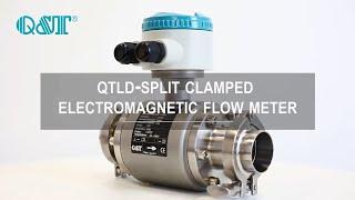 Q&T Remote Type Electromagnetic Flow Meter With Sanitary-Clamp Connection