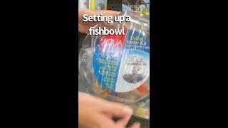 1 gallon Fish Bowl (complete kit)