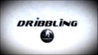 Хоккейный тренажер Dribbling Professional