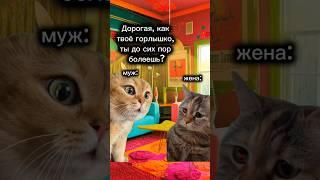 Интимный намёк. 109 Серия. ПОДПИШИСЬ. Новые видео — каждый день #юмор #кот #love #смех #cat #shorts