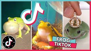 WELCOME TO FROG TIKTOK  2021 Frog Tik Tok Compilation