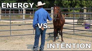 Teaching a Horse the Difference between Intention and Energy