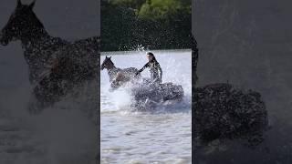 The wind has its own freedom.️#doris #taotaoaima #horseriding #horsevideo #horseride #horserider