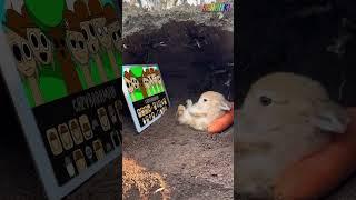Fluffy Bunny Watching incredibox Sprunki But All Tunner #sprunki #incredibox