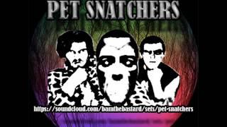 pet snatchers - the big yourself up tune (thank god)