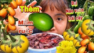 Ăn Sập Vườn Trái Cây Với Chén Mâm Ruốc , Huỳnh Như Vlogs ĂN Hoa Mai Chấm Mắm Ruốc Sẽ NTN