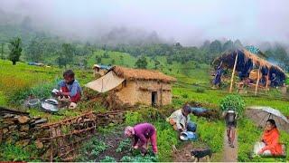 This is Himalayan Nepali village life ll Naturally And Beautifully mountain  Rainy season lifestyle