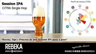 Session IPA CITRA Single Hop - Receta, Tips y proceso paso a paso