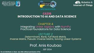 [CS316] Integrating Linear Algebra with NumPy: Determinants, Rank, and Solving Linear Systems