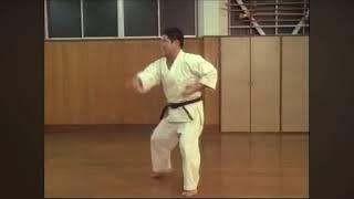 Other Karate Style Kata (Okinawa Goju Ryu Karate) - Gekisai Dai Ichi & Ni 撃砕第一 & 二