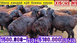 Узун жума ку́й бозорида 1500.000.дан 5100.000.гача сотилган ку́йлар