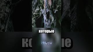 Плати 100 рублей и смотри на водопад