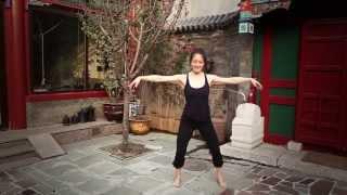 5 Element Qigong Practice - full version