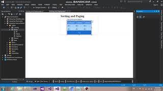 Paging and Sorting GridView in asp net