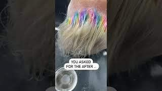 Rainbow ROOTS 