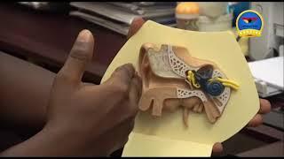GhanaWeb TV Live: March 9, 2021