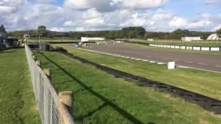 Martin Fiedler at Goodwood