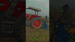 MF-385 sy allu ki pataii