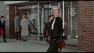 Alfred Hitchcock: The Birds (1963) Boy whistles at Tippi