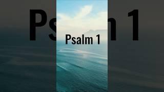 Powerful Psalm | The Blessed Man. #psalms #psalm1 #meditation #blessed #bible #shorts
