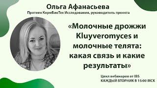 13.12 Ольга Афанасьева «Молочные дрожжи Kluyveromyces и молочные телята: связь и результаты»