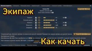 Как правильно качать экипаж в War Thunder