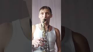 Skyfall (sax)