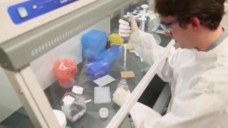Gulf Coast States React To Growing Cases Of Zika Virus - Newsy