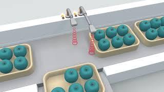 microsonic pms ultrasonic sensor in Washdown design