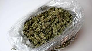 Lifter Premium Hemp Flower