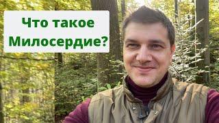 Что такое Милосердие?