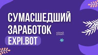 Сумасшедший заработок в expi.bot! Зарабатывай каждый день от 500$ реально!