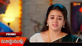 Moodu Mullu- Promo |28 Nov 2024  | Telugu Serial | Gemini TV