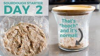 Day 2: How to Make a Sourdough Starter