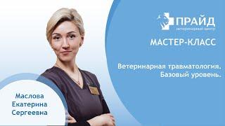 Ветеринарная травматология. Базовый уровень