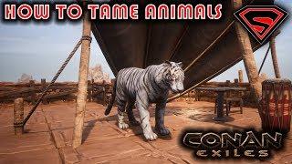 CONAN EXILES HOW TO TAME ANIMALS - HOW TO TAME PETS