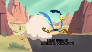 Wile E Coyote And Road Runner In "Climate Control"