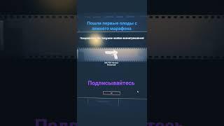 #shorts #варфейс #варфейс2021 #халява