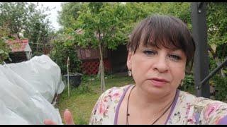 Опять все спасаю. Как вырастить сад на болоте. Готовлю фаршированные перчики. Жизнь семьи в деревне.