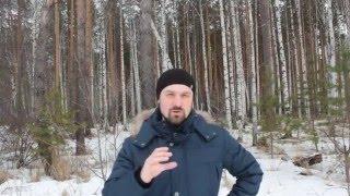 Как избавиться от чувства вины